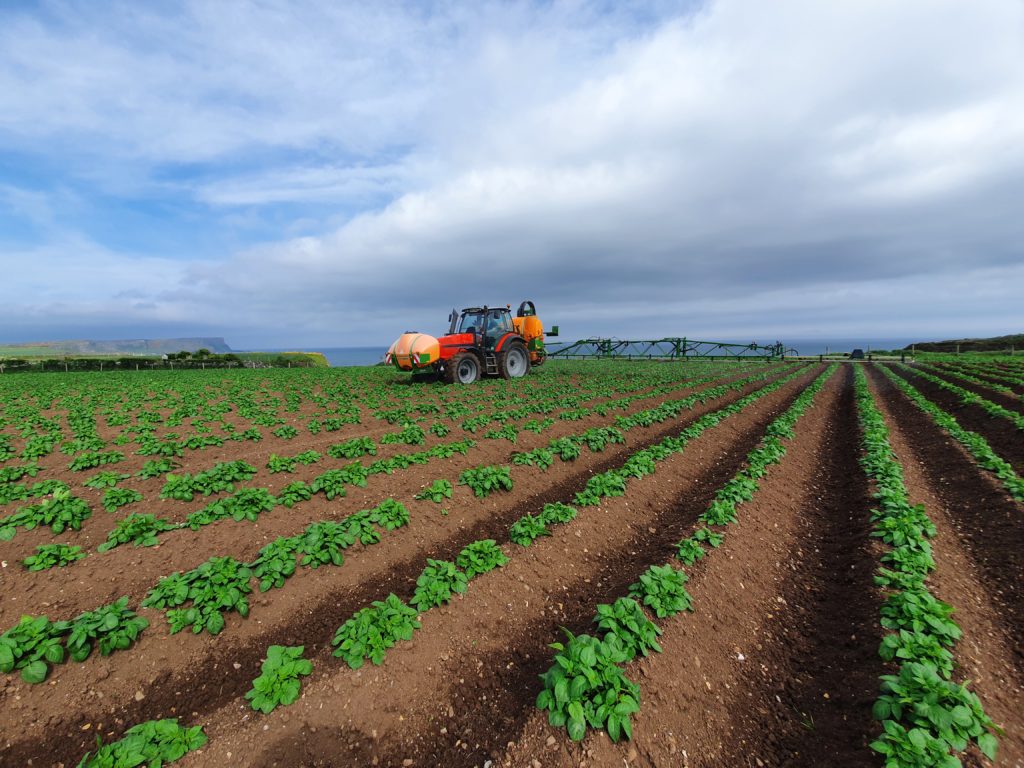 tractor-in-potato-field