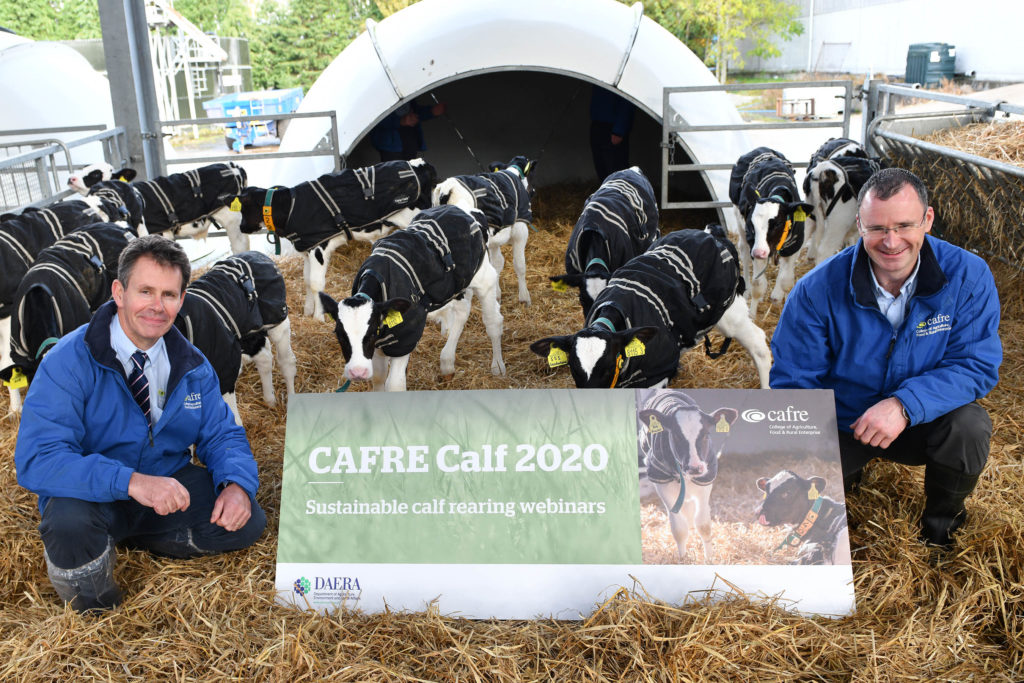 Two men inside the new Cafre calf house
