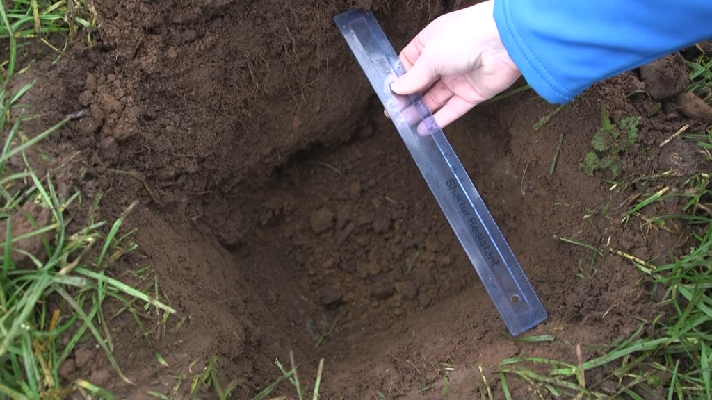 Digging a soil pit, of 20cm x 20 cm x 20cm, allows a number of soil health indicators to be assessed.