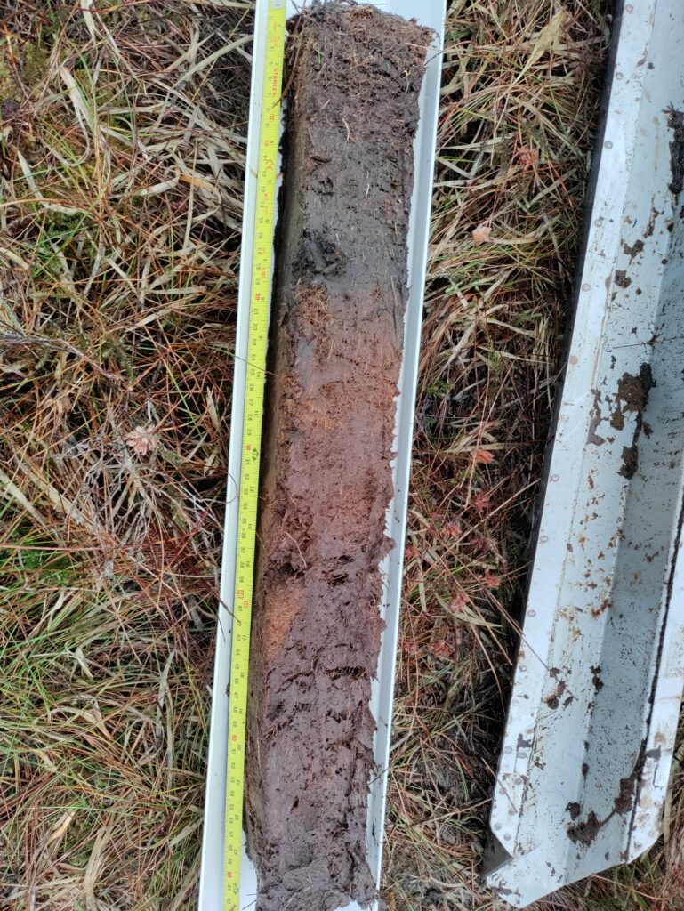 Sample 2. Front Point. A wet moor with open drains (installed in the 1960-70s) 10 – 15m apart. A less healthy acrotelm (living layer at the top of the profile) is visible compared to sample 1.
