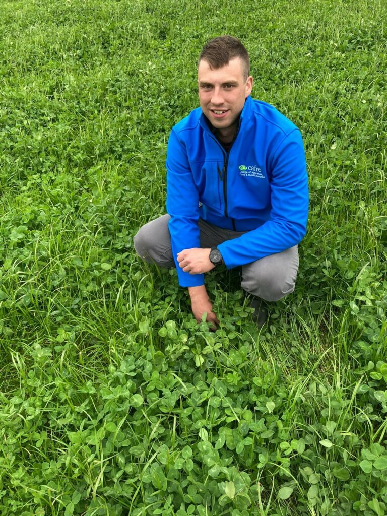 Adam Jones, CAFRE Beef and Sheep Adviser examining the regrowth of a red clover sward following a recent first cut