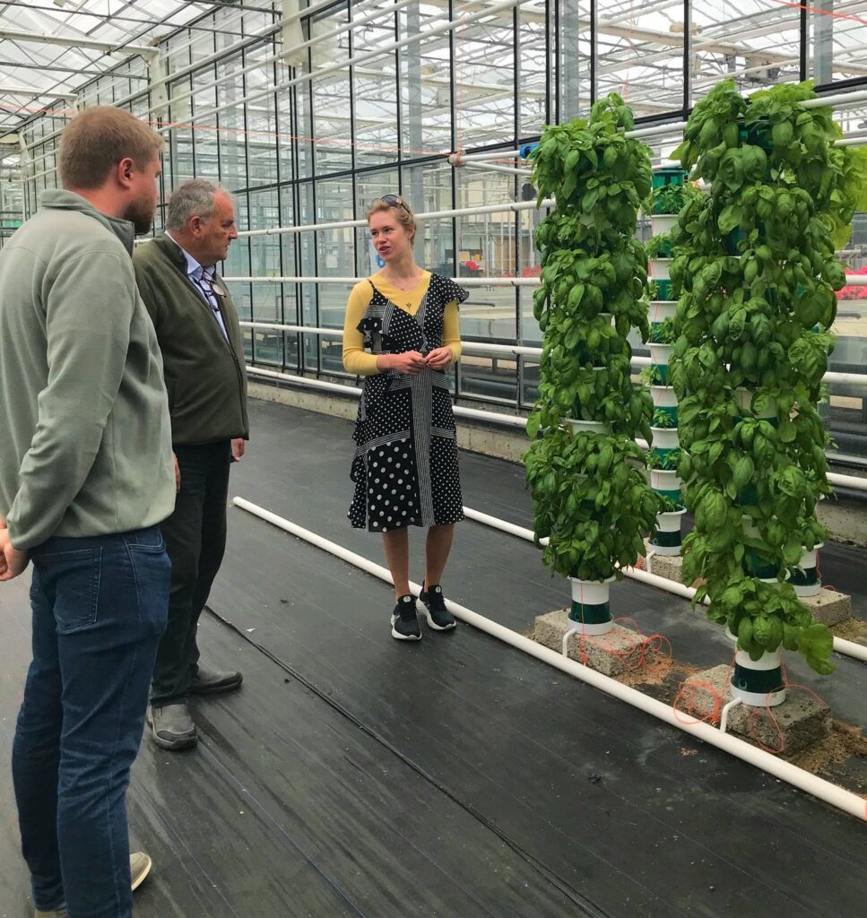 CAFRE Horticulture Technologists, James Crawford and Lucille Gilpin, showing LEAF assessor Vince Dempsey an innovative and environmentally sustainable production method for leafy greens.