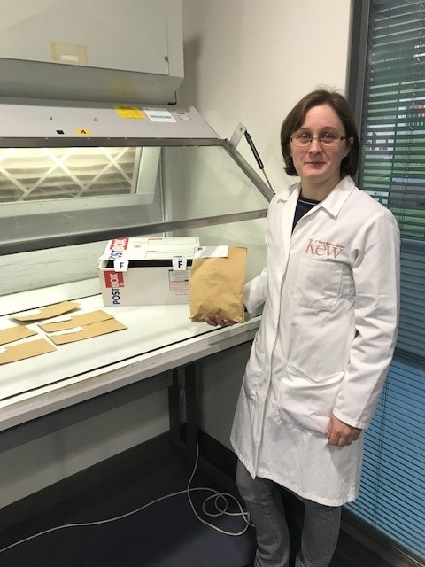 Lucy Taylor, Seed Processing Assistant at Kew’s Millennium Seed Bank with their Hiroshima seeds which they will keep in the seed bank.